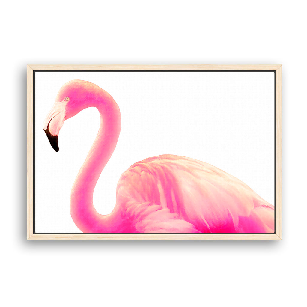 Flamingo - Fine Art Photography Print | Coastal Collection